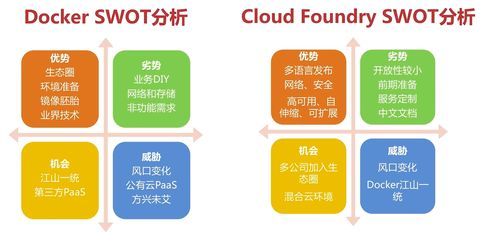 Java架構師視角下的服務容器化技術與實踐 從Docker到Cloud Foundry